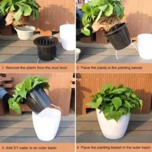 Plantas para Varandas: Dicas e Sugestões para Criar um Espaço Verde